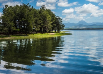 PASEO DE LOS EUCALIPTOS